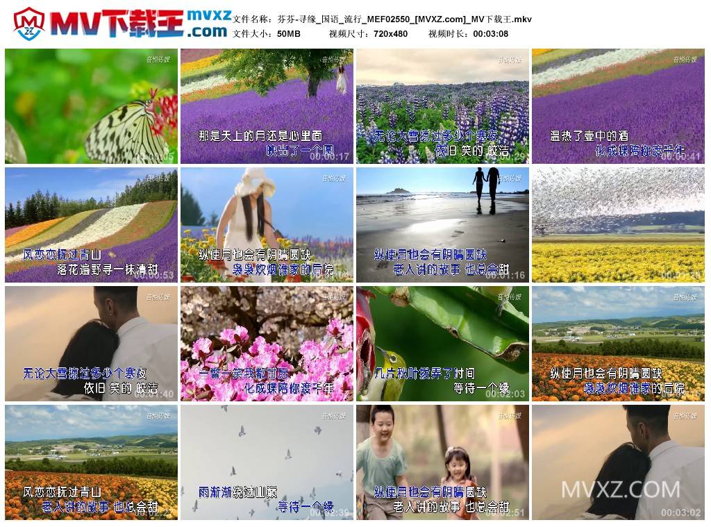 芬芬-寻缘_国语_流行_MEF02550
